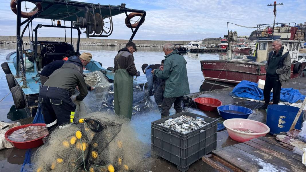 Halk arasında paşa balığı deniyor. Vatandaş palamuta doydu şimdi sıra ona geldi 3